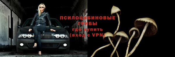 дурь Дмитровск