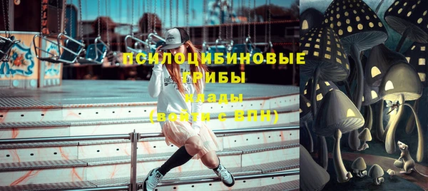 дурь Дмитровск