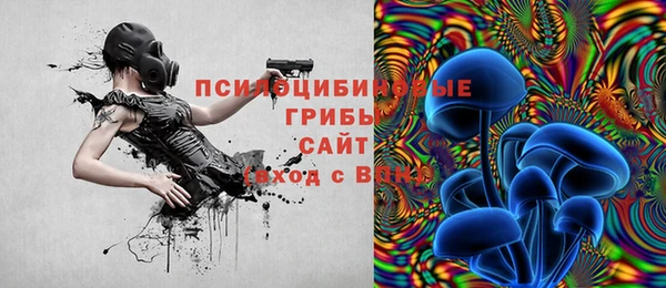 хмурый Дмитров
