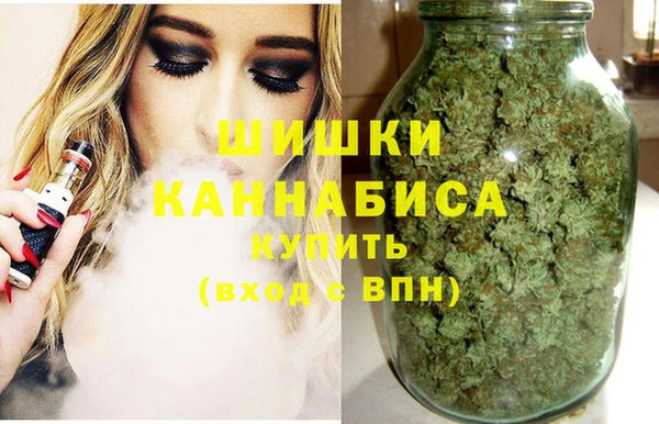 хмурый Дмитров