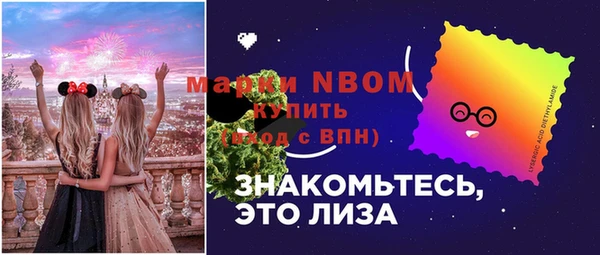 хмурый Дмитров