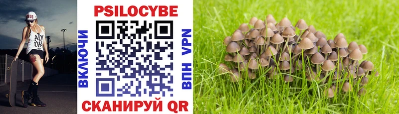 Купить закладки Лесосибирск Псилоцибиновые грибы прущие грибы